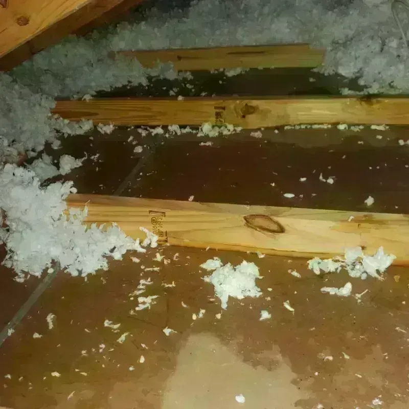 Attic Water Damage in Murrysville, PA