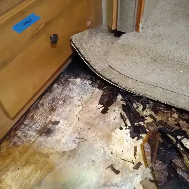 Best Wood Floor Water Damage Service in Murrysville, PA